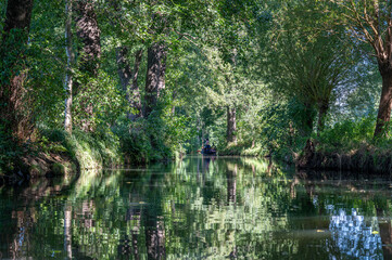 Spreewald Kanäle und Fließe  mit Landschaft