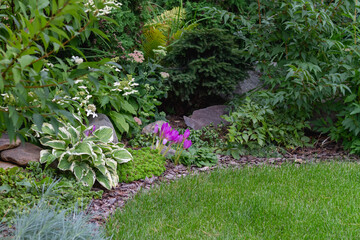 Flower garden with an Alpine rock slide among trees and shrubs in the Park.