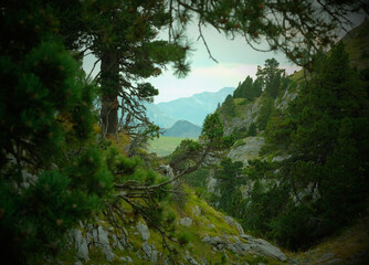 A mountain valley beautiful landscape