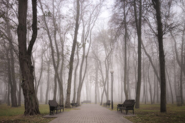 cozy benches in a city foggy park in the fall. Gomel, Belarus