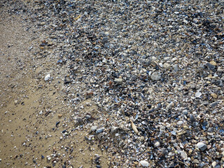 Many different colorful seashells on the background of yellow sand after a storm on the sea coast, as a background