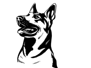 Fototapeta na wymiar dog illustration design