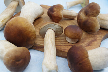 Boletus mushrooms on a wooden tray. Boletus edulis. Closeup