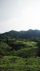 Obraz premium Traveling through the nature.