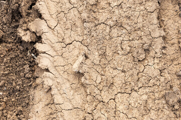 Fototapeta premium Tyre track and human footprint on sand texture background. Traces of off-road tires. Cracked earth on country road with traces of tires, cars, cracks and dirt. To use as background