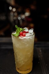 Summer lemonade with cranberries and orange garnished with mint on the bar