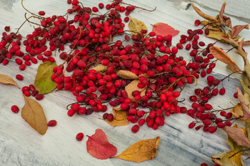 Barberry on a wooden background