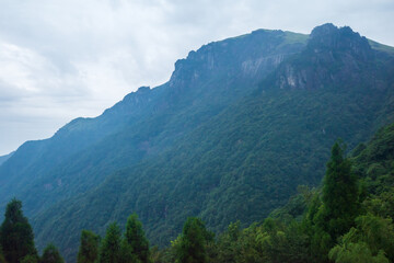 Mountains covered by trees and fog on Wugong Mountain in Jiangxi, China