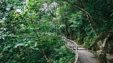 Obraz premium Footpath among trees on Wugong Mountain in Jiangxi, China