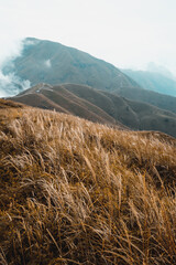 Grassland on mountain ridge covered in clouds on Wugong Mountain in Jiangxi, China
