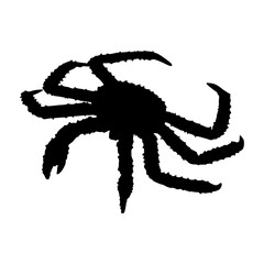 Walking King Crab (Lopholithodes Mandtii) On a Front View Silhouette Found In Alaskan And Japanese. Good To Use For Element Print Book, Animal Book and Animal Content
