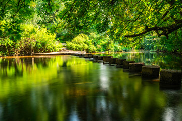 Fototapeta premium Stepping Stones