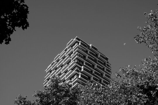 Die oberen Stockwerke in ONE FORTY WEST hinter den B&auml;umen der Senckenberganlage bei Sonnenschein im Westend von Frankfurt am Main in Hessen, fotografiert in klassischem Schwarzwei&szlig;