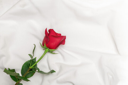 Red rose on white bed sheet. Romantic concept. Top view with copy space