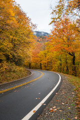 
A vertical photograph of a two-lane road winding through the smoky mountains of North Carolina with fall colors of orange and red, green, yellow and brown on both sides of the road slightly overcast 
