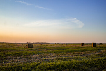A field with haystacks on a summer or early autumn evening with a blue-pink sky in the background....