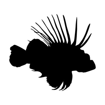 recommend clip art: Swimming Lionfish (Pterois Volitans) On a Side View Silhouette Found In Map Of Western and Central Pacific Ocean. Good To Use For Element Print Book, Animal Book and Animal Content