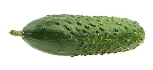 Fresh cucumber isolated on white background with clipping path