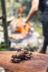 autumn in the forest