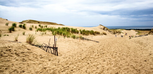 Dunes in the desert