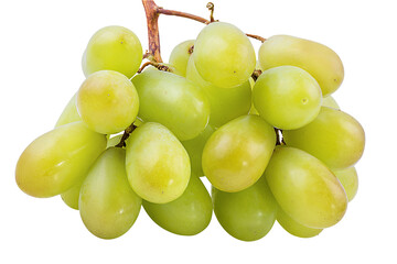 Fresh grapes isolated on white background with clipping pass