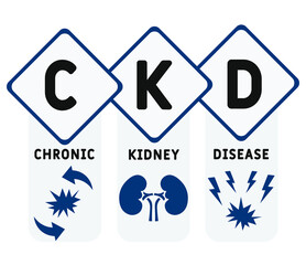 CKD - Chronic Kidney Disease acronym, medical concept background. vector illustration concept with keywords and icons. lettering illustration with icons for web banner, flyer, landing page