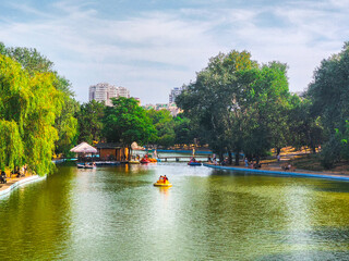 Fototapeta premium Sunshine scene from a spring park with view past a lake