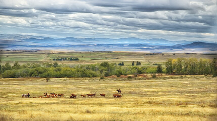 Cattle country Montana,photo art