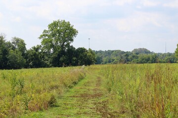 Fototapeta na wymiar The long empty grass trail in the country field.