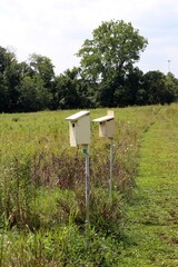The wood birdhouses in the country field.