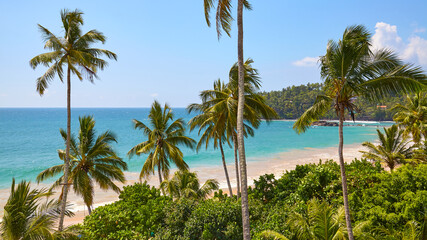 Fototapeta na wymiar Tropical beach with coconut palm trees on a sunny summer day.
