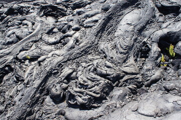 ハワイ島　溶岩の島