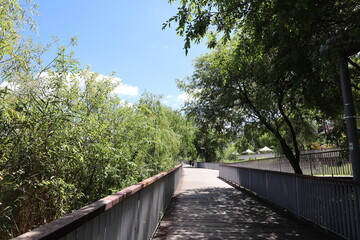 Park lake path on a clear day