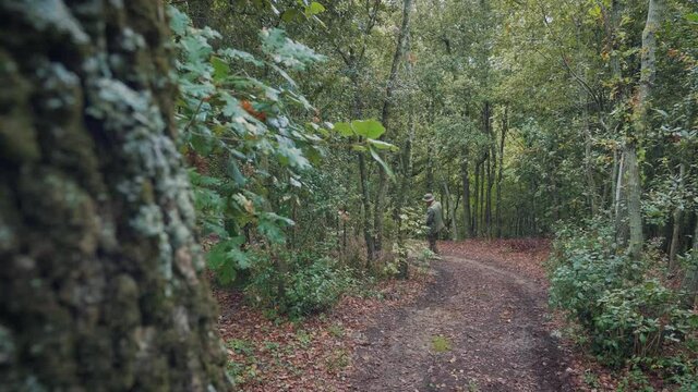 Man hunting truffles with his dog. Foliage into the forest. Wood forest in autumn colors