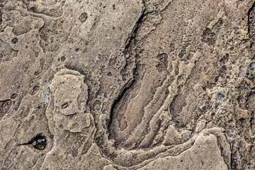 Closeup of paving stones showing the texture and patterns in the stone surface.