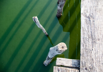 Texture part of an old beams and wooden pier against the background of green water. Old wooden logs in the lake. Flat lay, top view.