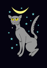 Cat with starry sky.
pdf