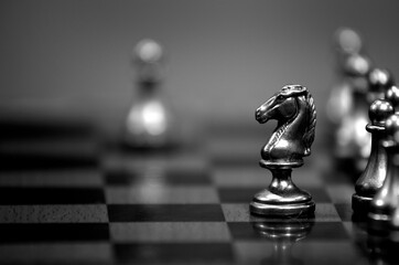 Chess Pieces on Board for Game and Strategy © Lane Erickson
