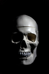 Human skull on black background