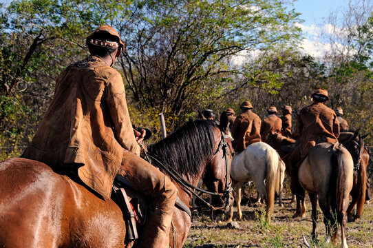 Pega do boi na caatinga - festa realizada no sert&atilde;o pernambucano