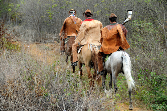 Pega do boi na caatinga - festa realizada no sert&atilde;o pernambucano