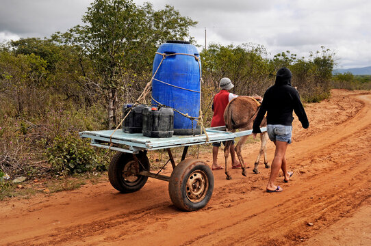 Sertanejos transportando galão de água em carroça em zona rural.