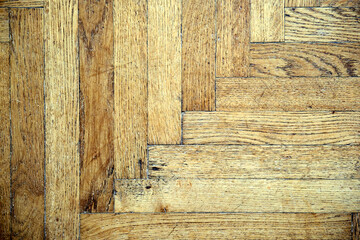 An old wooden door. copy space