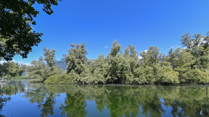 Fototapeta na wymiar Panorama di un bel lago circondato da una grande palude con alberi verdi e cielo blu