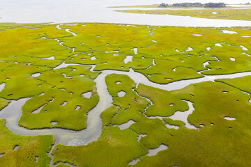 Narrow channels meander through a salt marsh in Pleasant Bay, Cape Cod, Massachusetts. Marshes are wetlands that serve as nurseries and feeding grounds for fish, invertebrates, and many bird species.