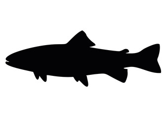 Fish salmon swims. Vector image.