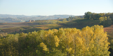 The Langhe of Piedmont is a show of hills, vineyards, farms, castles. In autumn the snow-capped Alps become cornices.