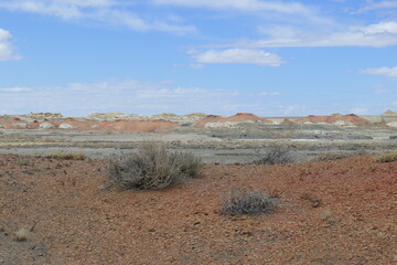 desert landscape in state country