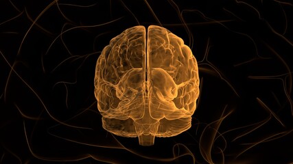 Orange Brain. Abstract digital human brain. Neural network. IQ testing, artificial intelligence virtual emulation science technology concept. Brainstorm think idea. 3d rendering