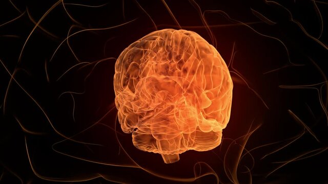 Orange Brain. Abstract digital human brain. Neural network. IQ testing, artificial intelligence virtual emulation science technology concept. Brainstorm think idea. 3D animation of seamless loop. 4K